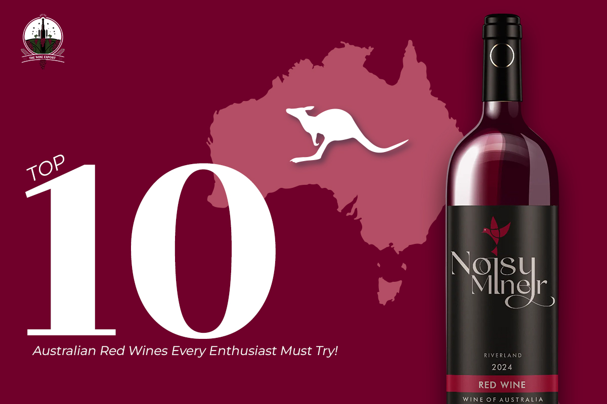 Top 10 Australian Red Wines Must Try | The Wine Export